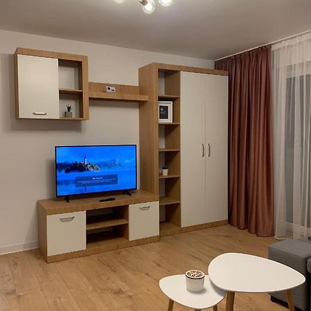 Sunny Apartment In Suceava Bagian luar foto